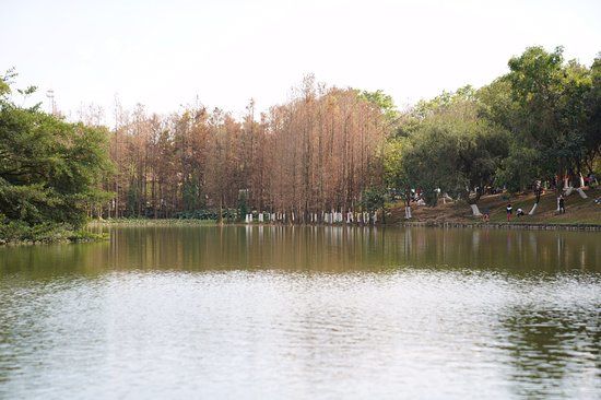Dafu Mountain Forest Park